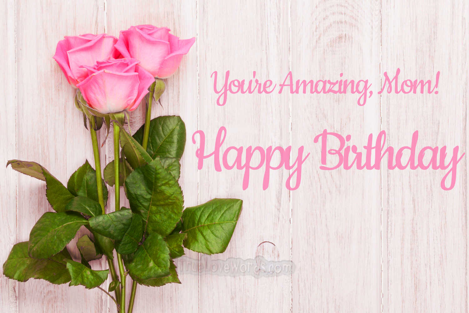 Pink roses and a happy birthday message